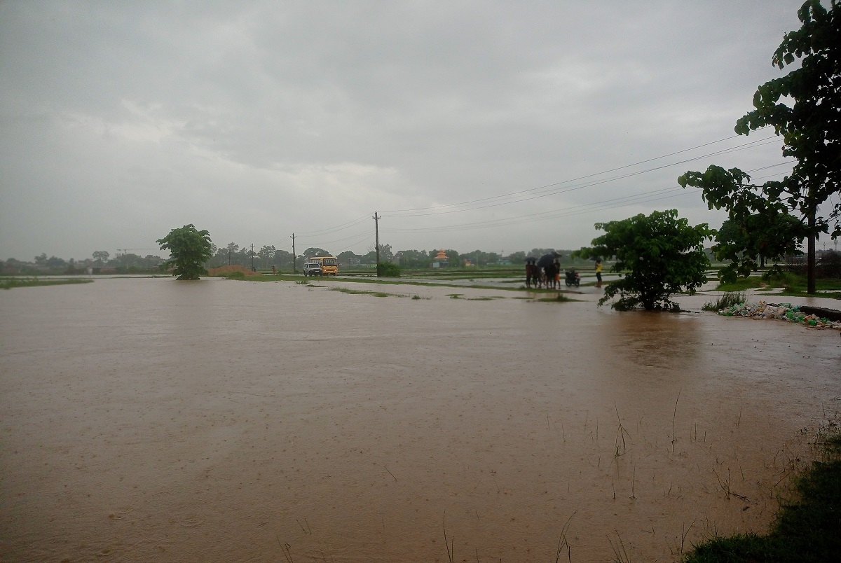 सुनसरीको कुरुवा खोलामा आएको बाढी